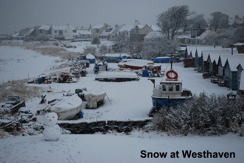 carnoustie holiday cottage