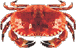 crab